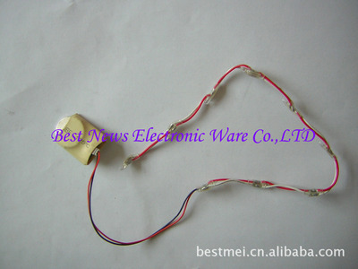 深圳特力電器 專業(yè)供應(yīng)發(fā)光燈串、發(fā)光衣服燈與閃光鞋燈